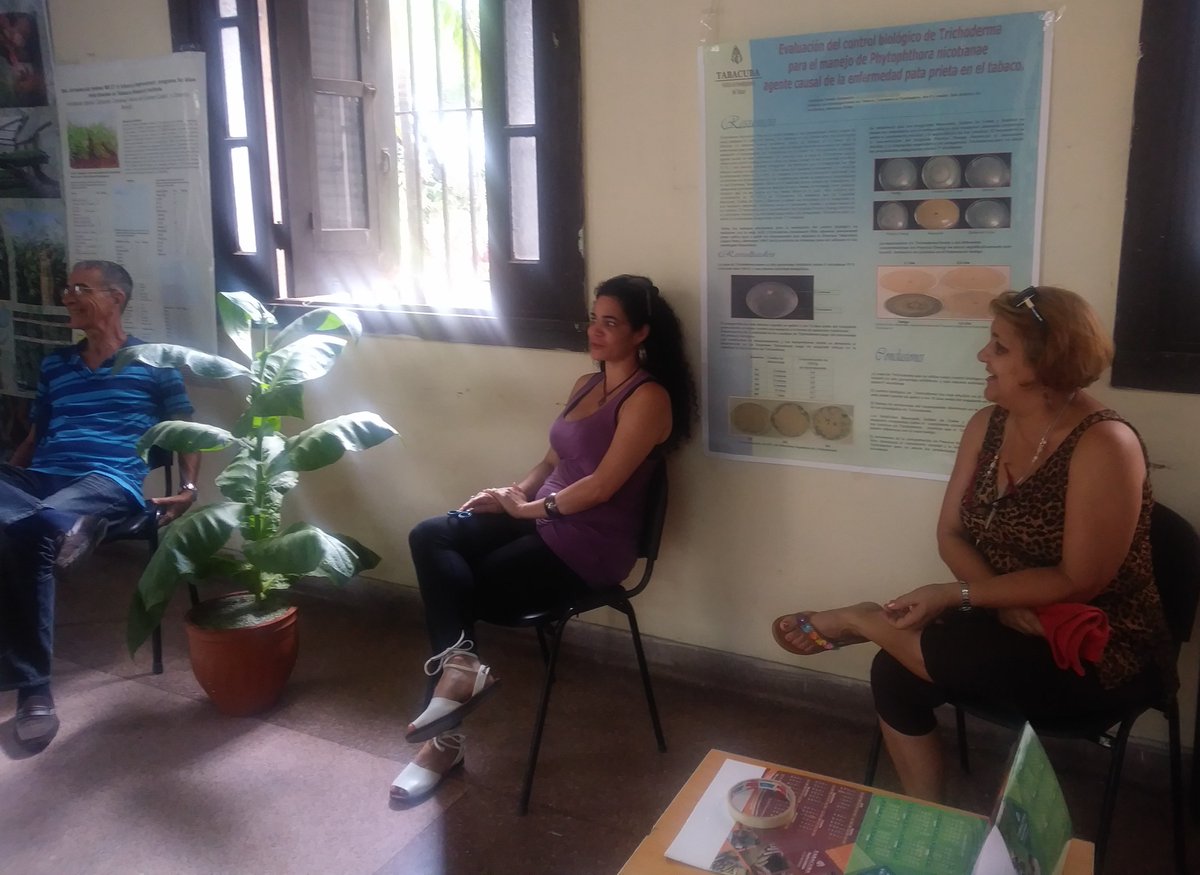 BiologiaUH's tweet photo. Desde  25 y 26 de Abril se  está realizando en nuestra @BiologiaUH ,@UdeLaHabana, @OdalisCuba FERIA DE EMPLEADORES donde están presente centros como: CIM-UH, Cubacontrol,  IES (Inst. Ecología y Sistemática), INIFAC, INCA, TABACUBA, para que el estudiante conozca sus labores. https://t.co/fDdfIAK4RC