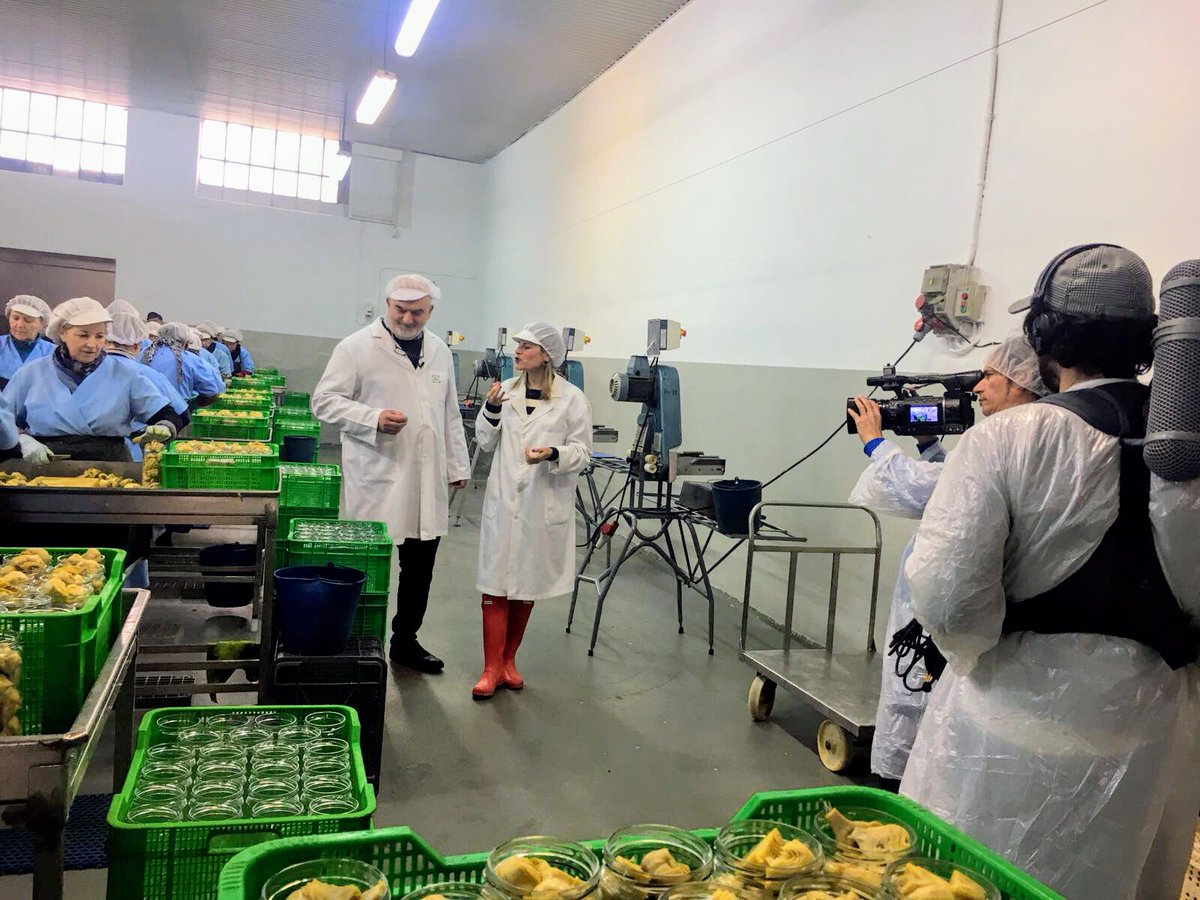 La alcachofa es la reina de la huerta Navarra, rica en propiedades para la salud, hoy veremos todo el proceso, desde que sale del campo hasta que llega embotada a nuestra mesa  <a href="/aquilatierratve/">Aquí la Tierra</a> <a href="/ClubFansALT/">ClubFansAquíLaTierra</a> <a href="/AytoMendavia/">AyuntamientoMendavia</a>