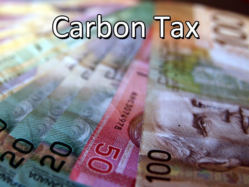 Kudos And Criticisms For Government’s Court Challenge dlvr.it/QQv3WC https://t.co/YMWFyB69SU