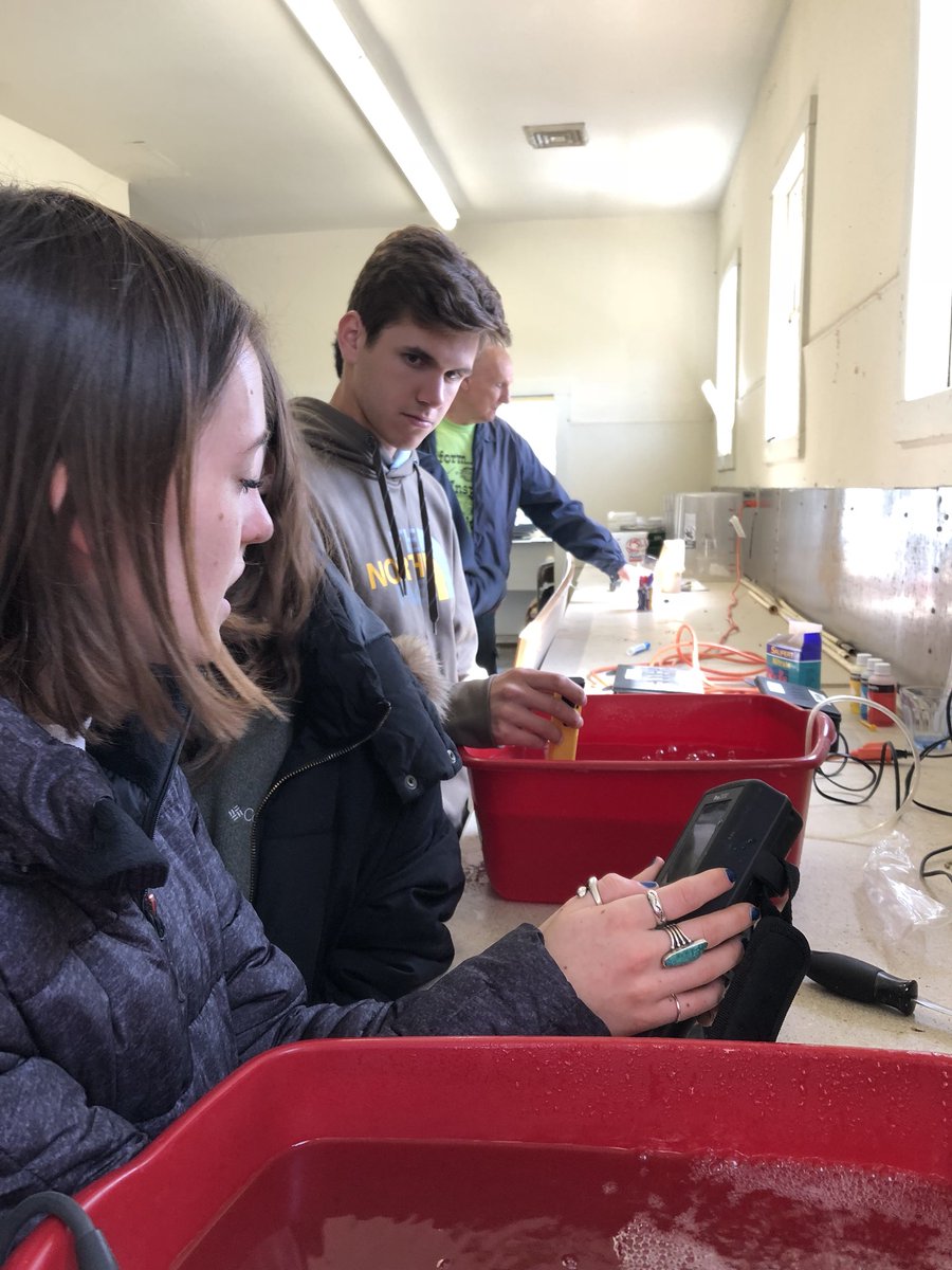 EllePennington2's tweet photo. Students testing salinity, pH, temperature and dissolved oxygen concentrations during oyster aquaculture exploration #sciencetech #phillipswharf #educ570 https://t.co/TmEAuTJWS7