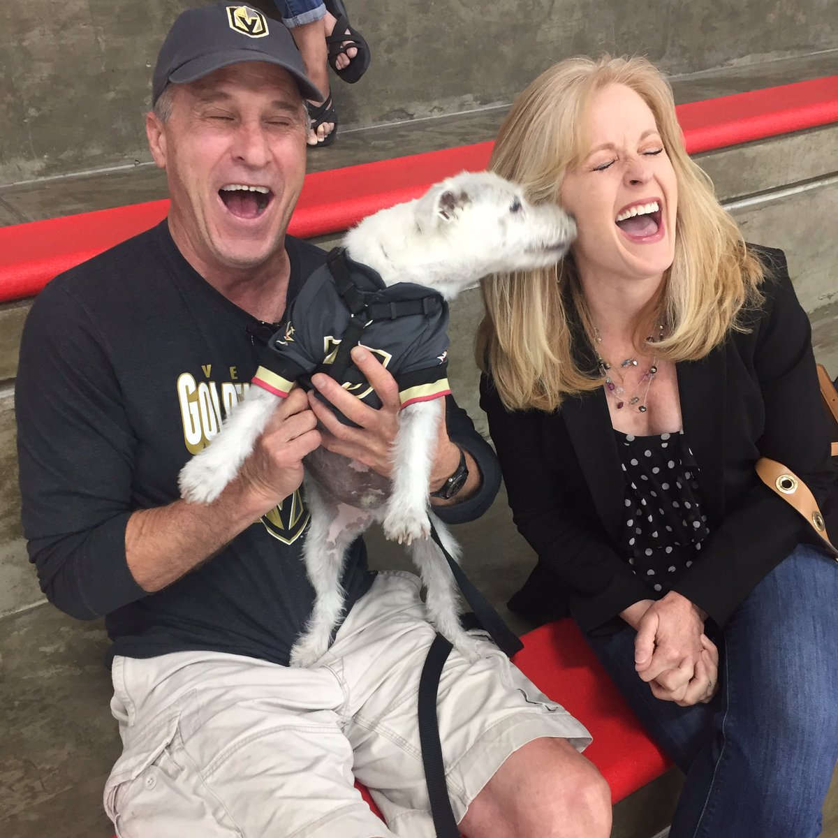 Sitting with @BarkAndre_Furry at practice for <a href="/GoldenKnights/">Vegas Golden Knights</a>. Got a kiss!!!  <a href="/News3LV/">KSNV News 3 Las Vegas</a>