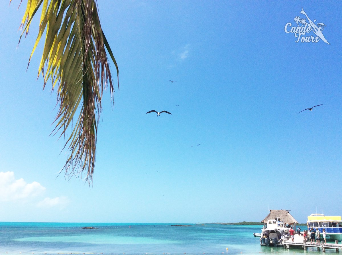 CandesTours's tweet photo. Te gustaría estar aquí, en la encantadora #IslaContoy?

Este Tour incluye:

✔️Desayuno
✔️Almuerzo
✔️Bar Abierto
✔️Snorkel

👉👉👉Reserva ya: 
➡️Comunicate a : 52 998 2740228 / + 52 9981 016789.
➡️Escribenos:candeapartment@hotmail.com
candestour@gmail.com
#CandesTours https://t.co/4Dm1SPuY3f