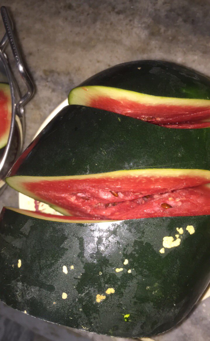 devilsredtongue's tweet photo. @kalyanrath if you thought pomegranate was difficult to peel, try watermelon. A whole new ball game. This is how mine turned out! #watermelonart 😂 https://t.co/nFvjJKpVvI