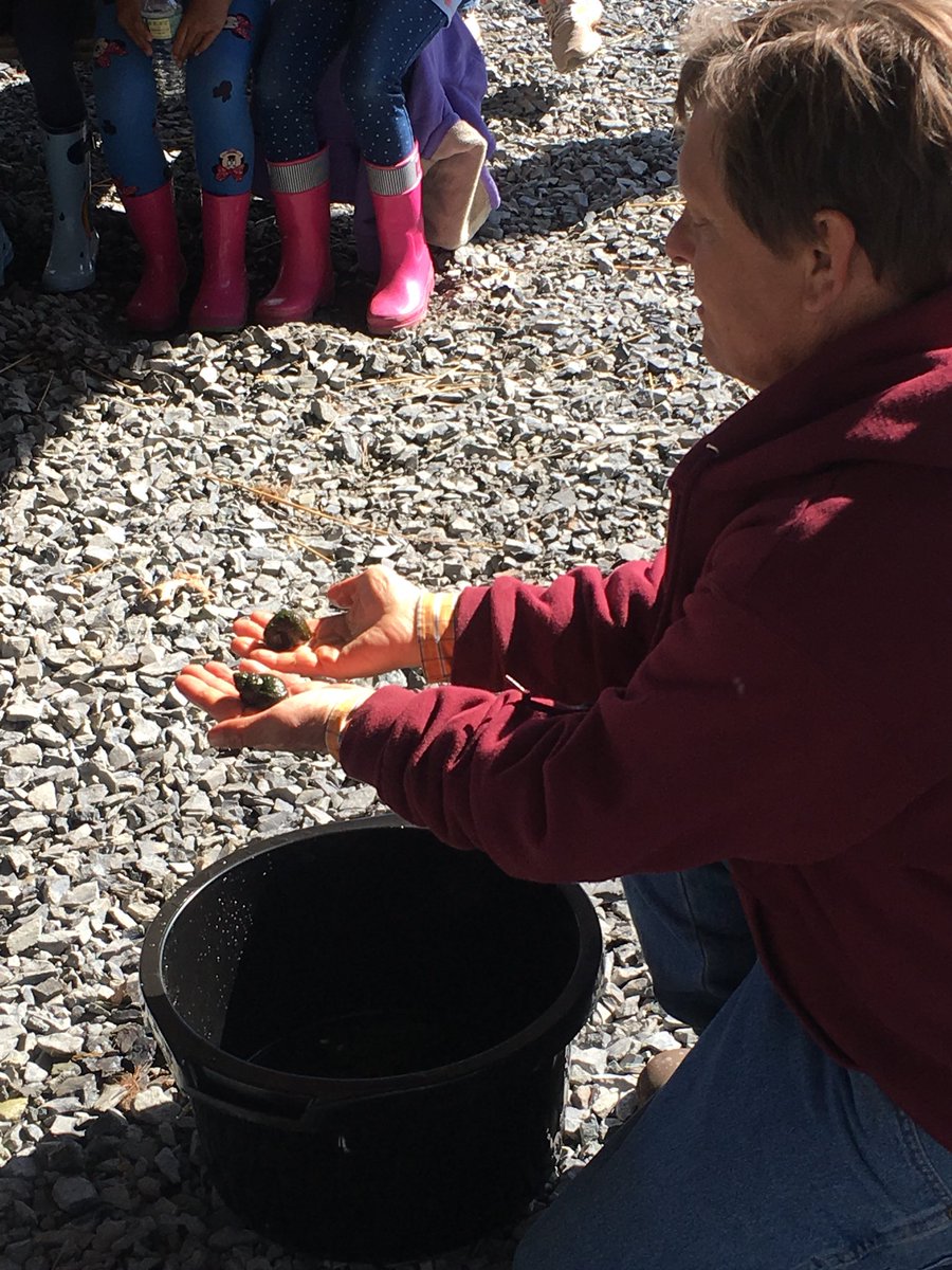 What a beautiful morning at Center Point Pond! #kindergarten #fishing #fieldtripfun <a href="/SASD_Vernfield/">Vernfield Elementary</a>