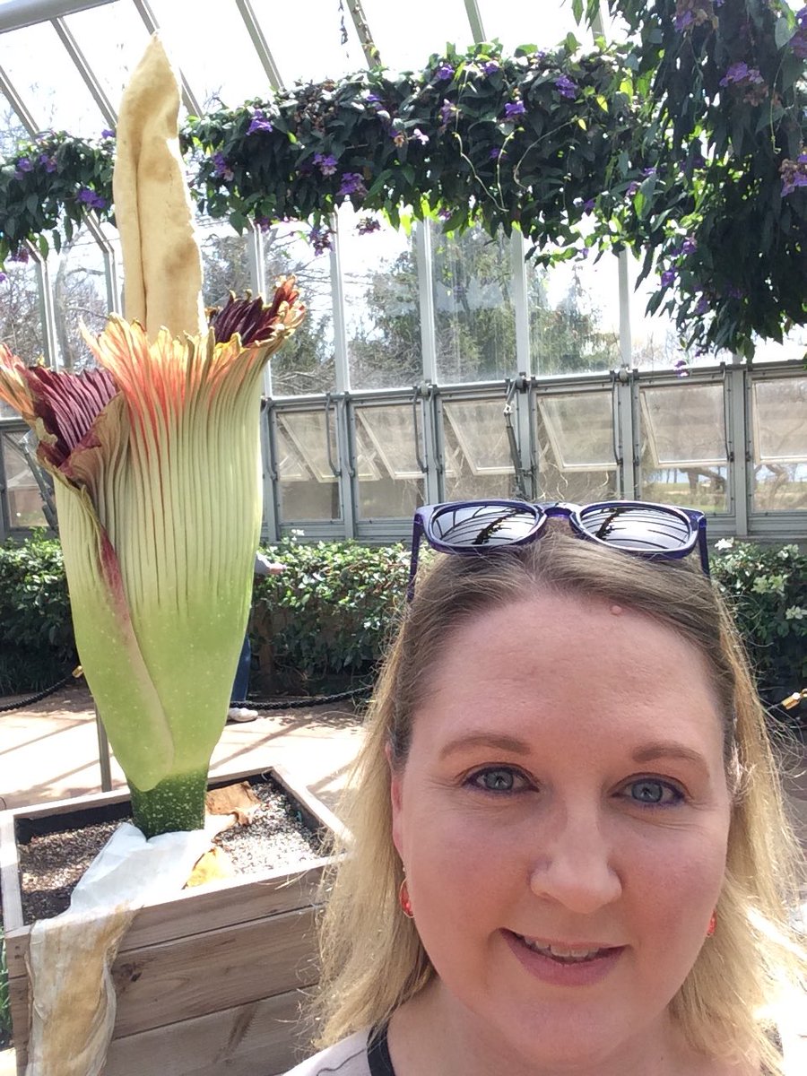 mayorquinnb28's tweet photo. Was able to see a corpse flower in bloom for the fourth time in a year. Thanks @chicagobotanic #CBGSpike https://t.co/rAszGiNQ7m