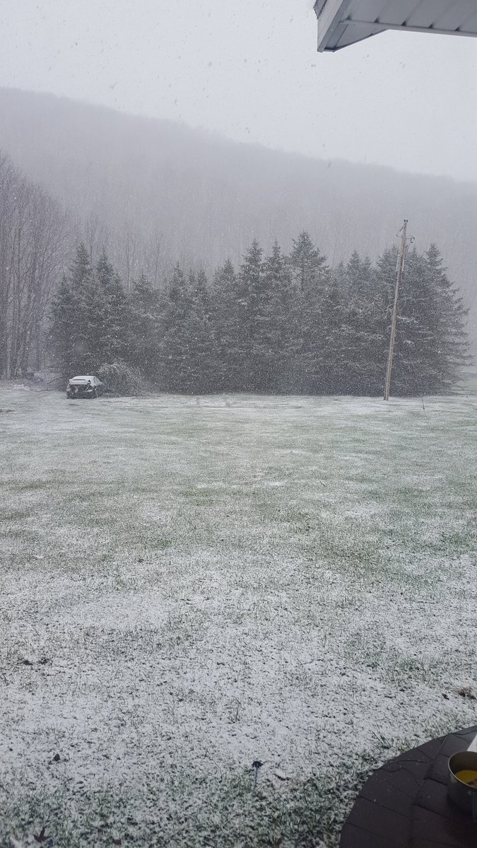 Andrewknewl's tweet photo. This was the gift PA gave us all last week and now it's 65 and sunny haha. Time to go fishing. https://t.co/hZPBw35ASG