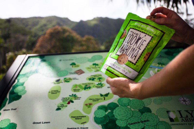 Enjoy the journey of life! #wanderlust #globetrotter #gettinglost #happylife #lovecookies