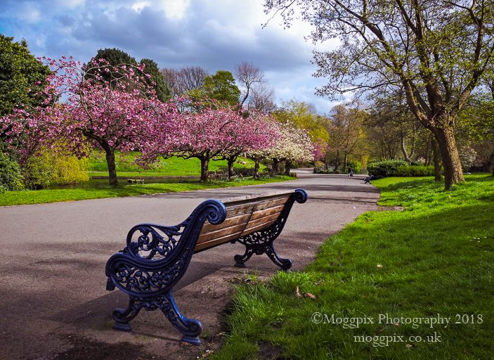 Vault NW (vault_info) Twitter