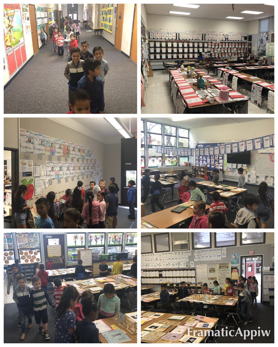 Shelley Behrns tweet media