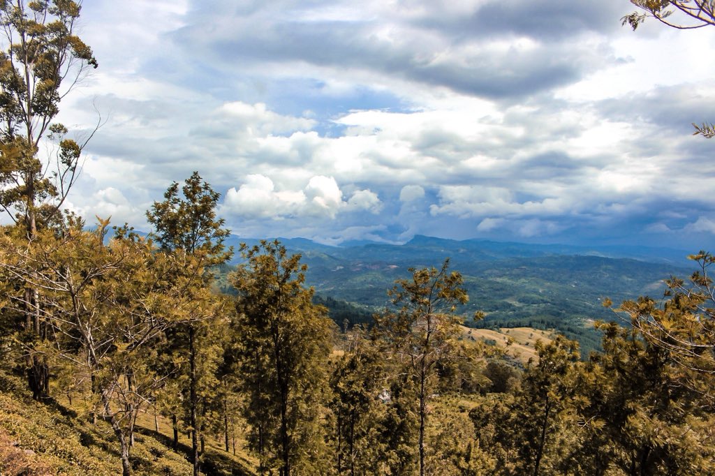 varnasuthan1104's tweet photo. #hanthana #trip #srilanka #beauty #lanka #canon #clicks #photography #nature #love #capturelanka #traveller #tourism #vphoty #visitsrilanka #srilankaclicks #natego https://t.co/6ajsZK90ZP