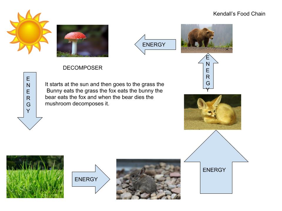 kcross34's tweet photo. My 3rd graders researched and made food chains using Google Drawings! I've said it once and I'll say it 1,000 times.. Google Drawings is my ALL time favorite technology tool! #CrossChronicles #WeareWetmore @ScienceJitsu @neisdtechsvcs https://t.co/r9H29iH2ZO