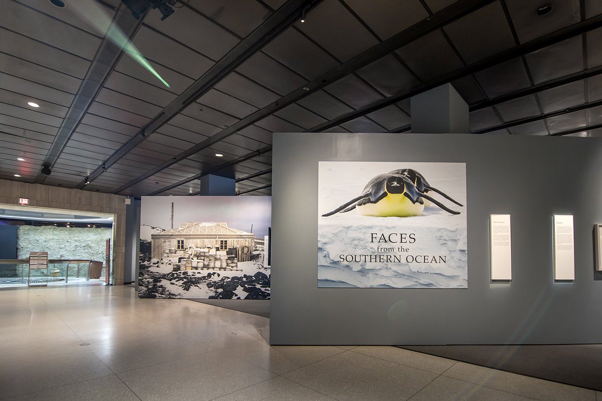 Houston Museum of Natural Science, JJ's "Faces from the Southern Ocean" Exhibition.