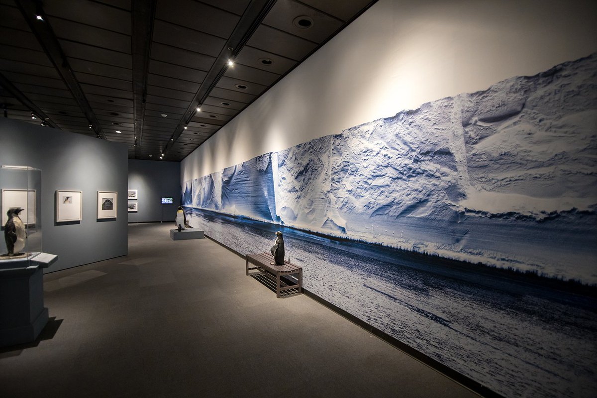 JJ's 66 foot Ross Ice Shelf from her "Faces from the Southern Ocean" Exhibition at the Houston Museum of Natural Science, Texas.
