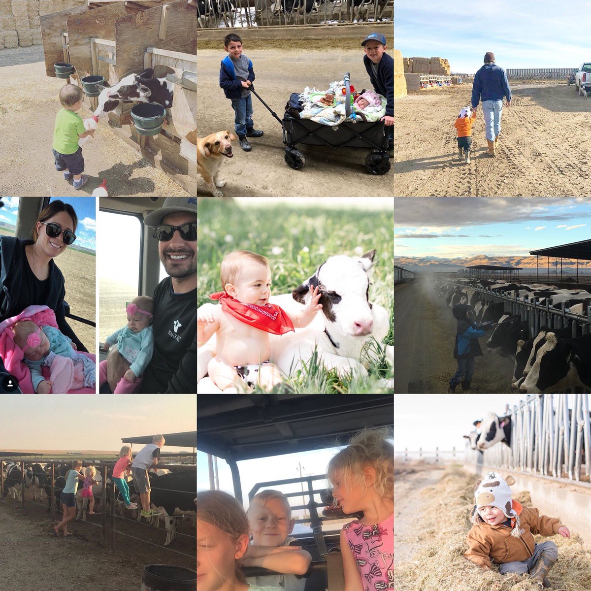 DairyWest's tweet image. Every day is Take Your Child to Work Day when you’re a dairy farm family. #tyctwd #DairyWest #UndeniablyDairy #AgProud #Farm365 
Thanks to the Machado, Wind and Nederend families for the great photos!