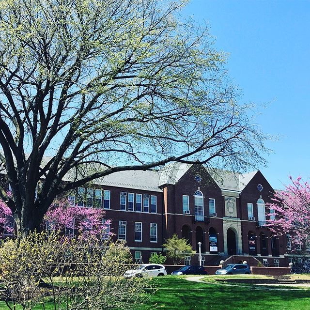 MarylandHall's tweet photo. A beautiful day to be outside at Maryland Hall!! #mdhall #marylandhall #artforall #spring #naturesacred #annapolis https://t.co/fKj78dDn7R https://t.co/pW7Wd8pS63