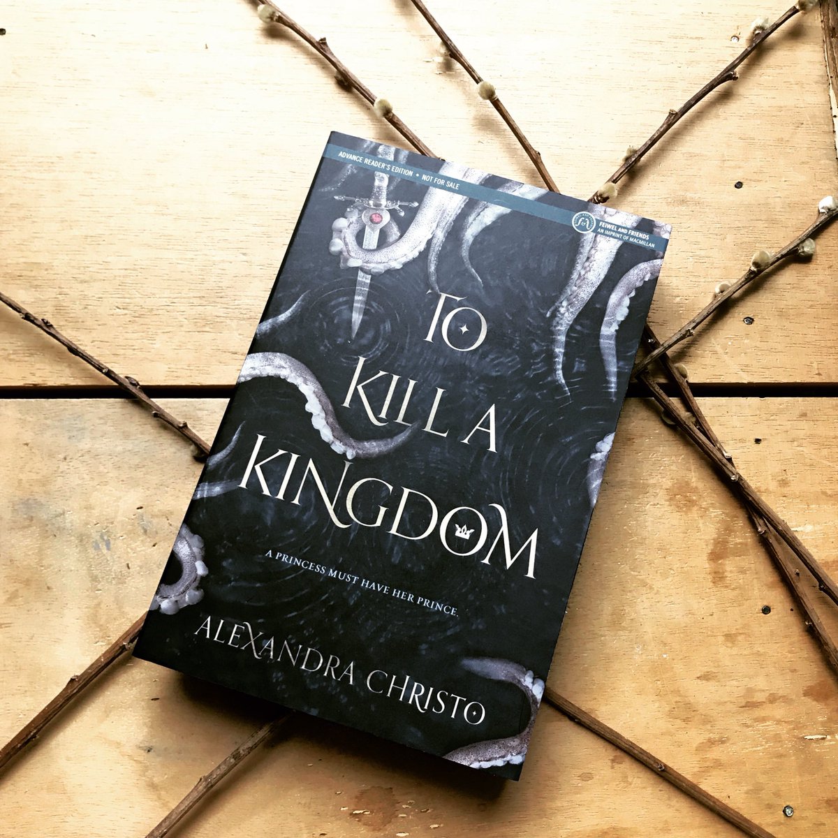 This is what our reviewer had to say about #ToKillaKingdom by @allie_christo "shows great promise for her future as an author in the YA world. TO KILL A KINGDOM is an easy read that flows smoothly into the imagination of the reader." teenreads.com/reviews/to-kil…