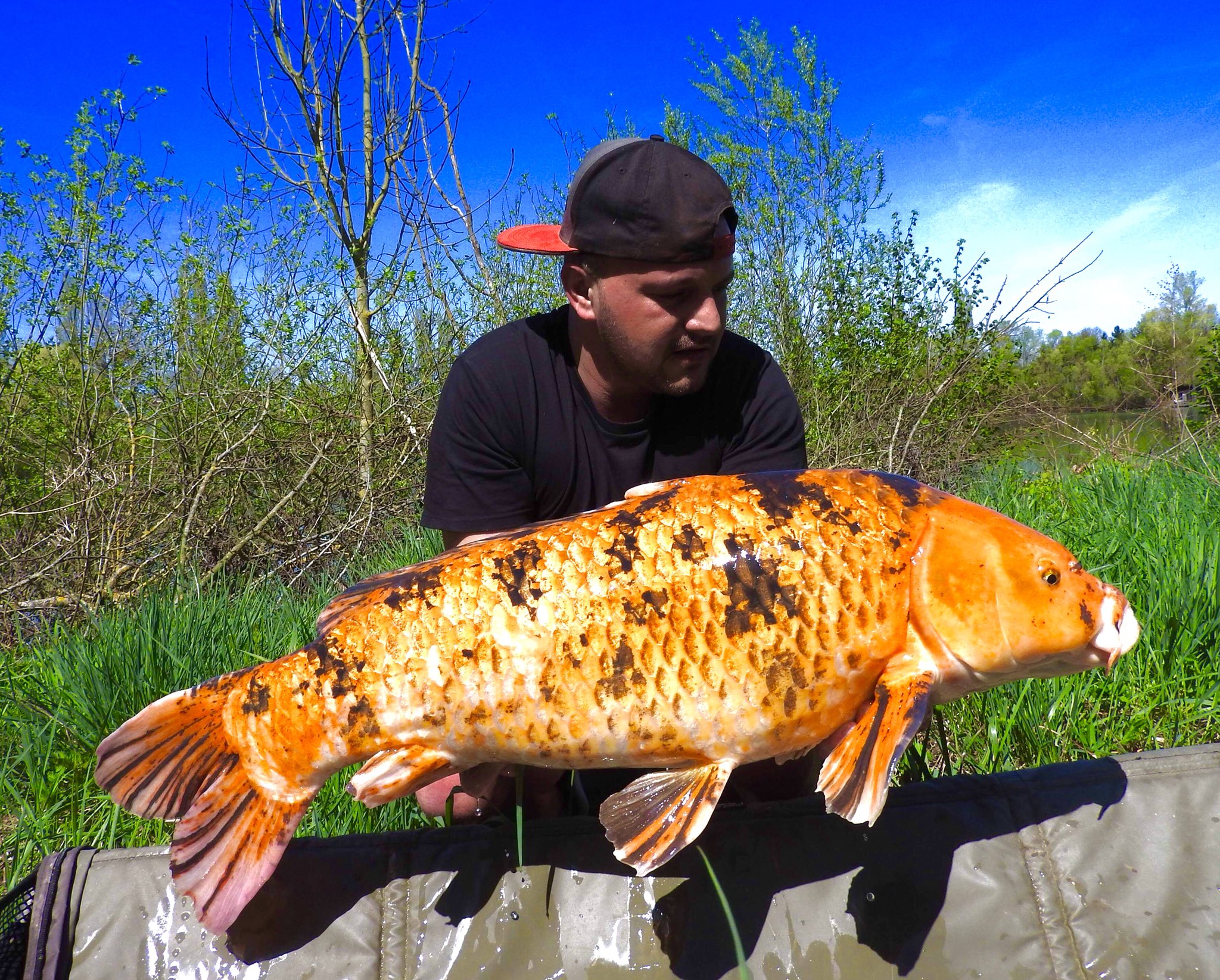 Pêche à la chinoise #peche #fishing #carparkingmultiplayer