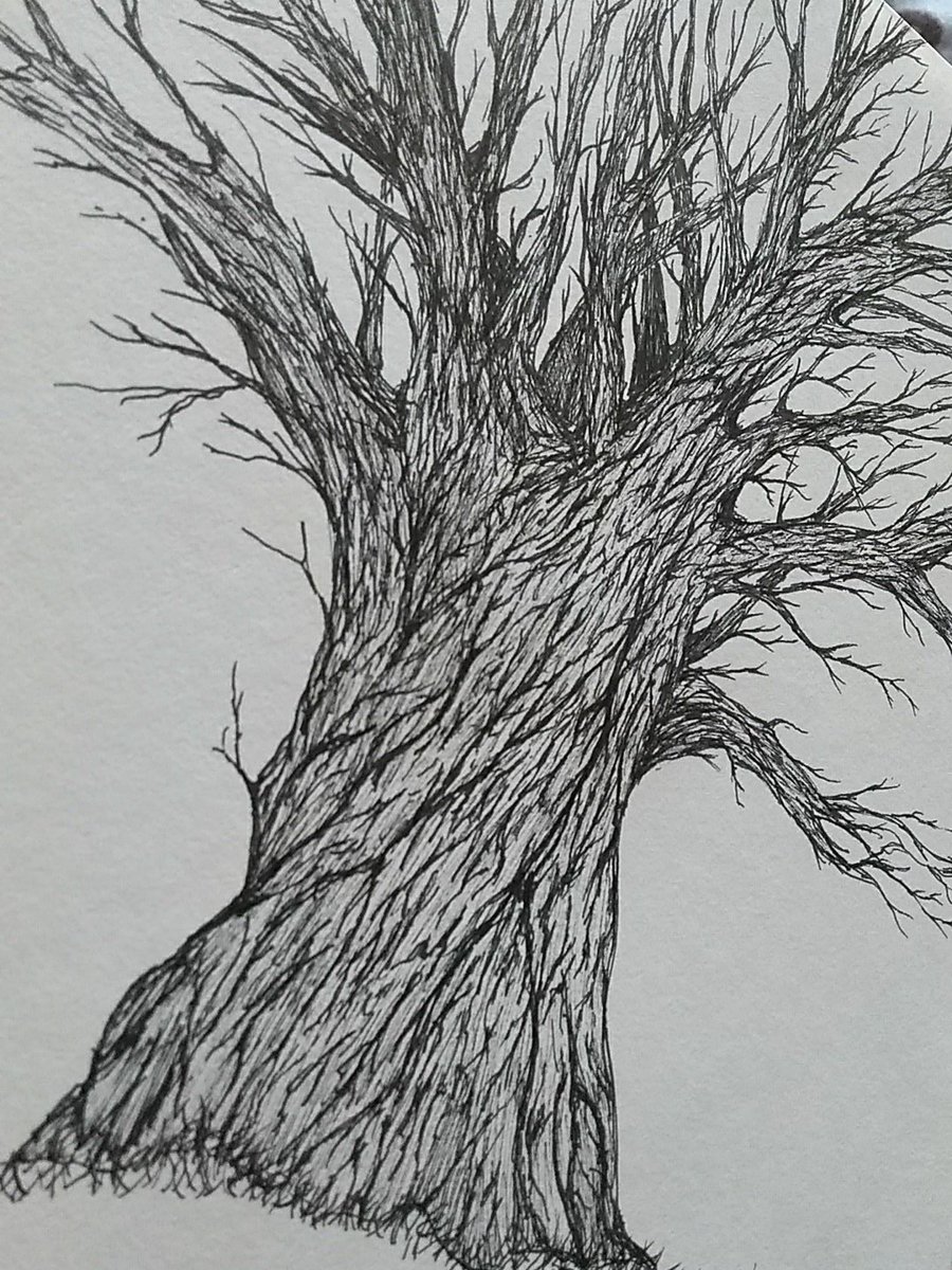 groupoffiveart's tweet photo. just some fun doodles of trees that I did during classes :))) - helen #art #doodle https://t.co/jJEEONM7Mb