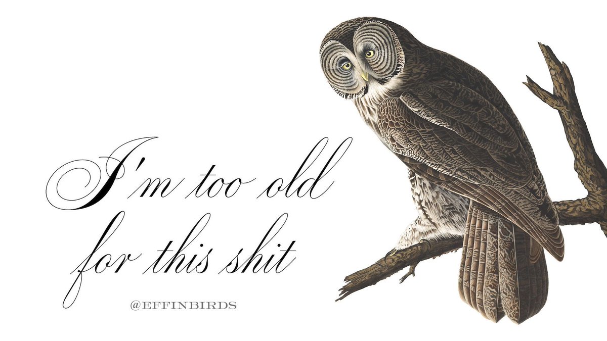 Effin Birds On Twitter Happy Birthday John James Audubon