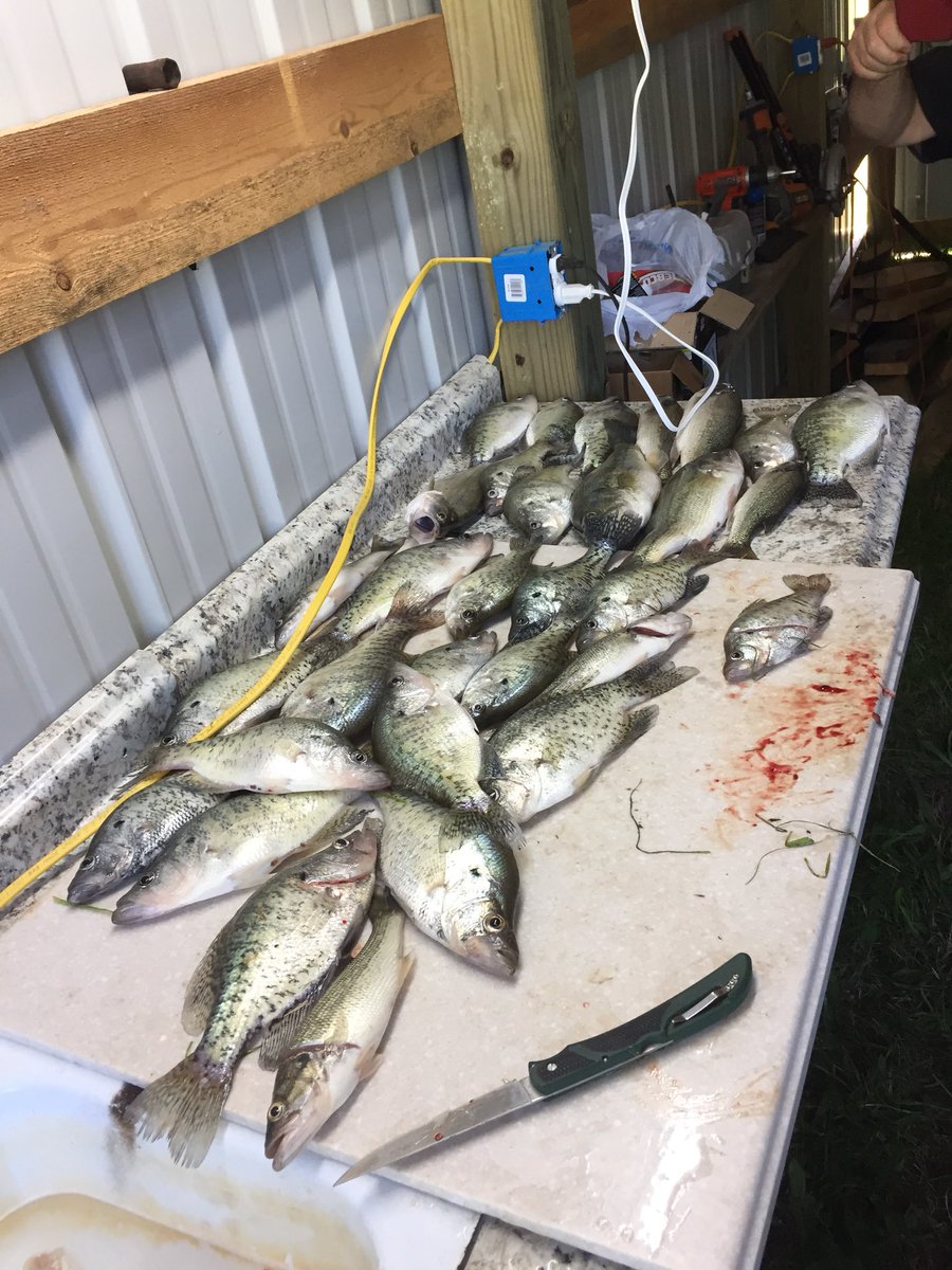 Tuesday’s catch
