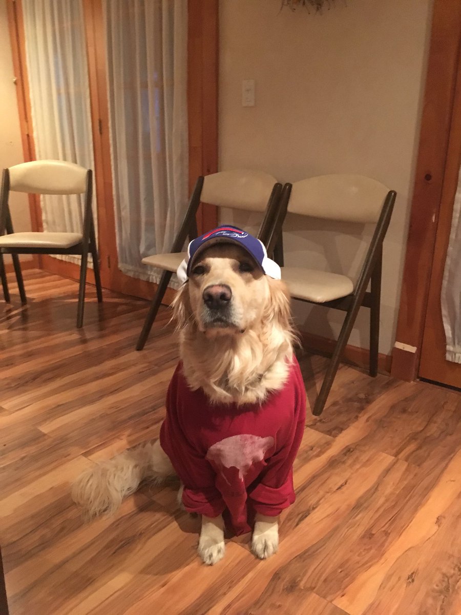 CoryVarney's tweet photo. Let's go Buffalo! https://t.co/M3jHjLKBBp