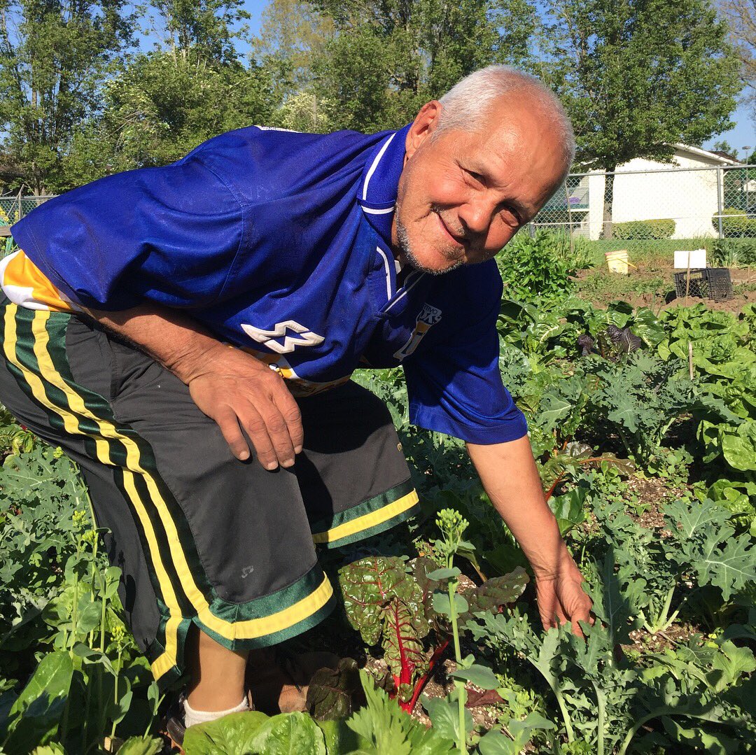 VillageGardens1's tweet image. Rodolfo, our Seeds of Harmony Garden Advocate, is already feeding friends from his bountiful garden. #seedsofharmony #springveggies #communitygarden #goodfood #nofilter