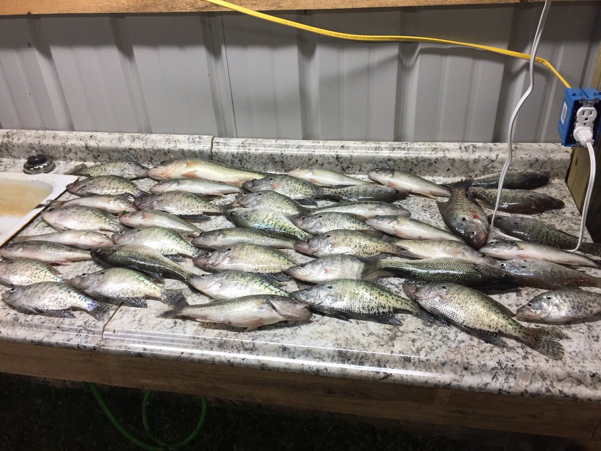 Monday’s catch