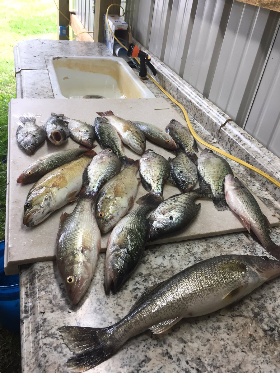 Wednesday’s catch