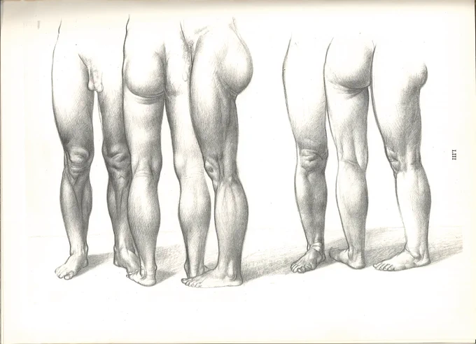 バーチャイの教科書の解剖図は、リシェの引用または改変であるが、体表図の独自性が高い。キュビズムの影響か、顔の描写に少々クセがあるが、ストロークが起伏をしっかり捉えている。 