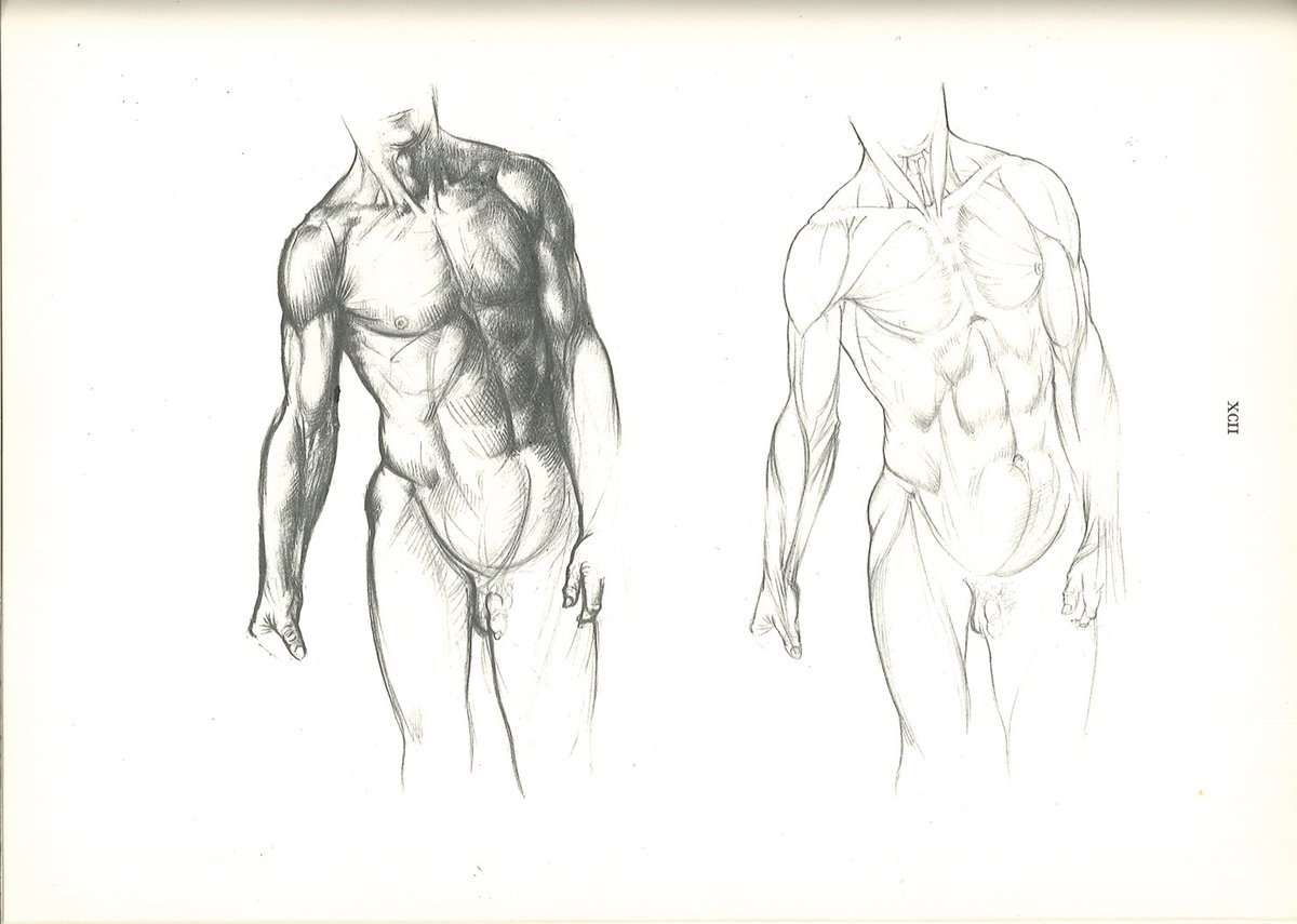 バーチャイの教科書の解剖図は、リシェの引用または改変であるが、体表図の独自性が高い。キュビズムの影響か、顔の描写に少々クセがあるが、ストロークが起伏をしっかり捉えている。 