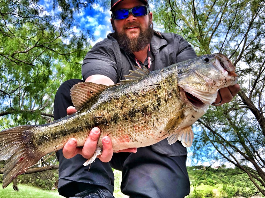 mrgaines_sciguy's tweet image. 7 pounder! That’s like a baby human! #eatsleepfish #bassfever #abassadaykeepsthedoctoraway