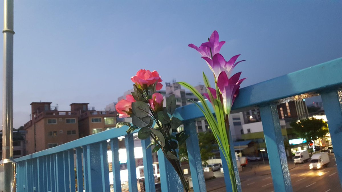 육교 위에 핀 꽃

#하대원동 #중원구 #성남시