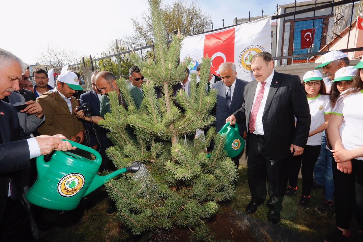 VeyselEroglu's tweet photo. ‘Okullar Yeşille Hayat Bulsun’ projesi kapsamında Muş Malazgirt Alparslan Kız Anadolu İmamhatip Lisesinde öğrencilerimizle fidan dikimi gerçekleştirdik. 🌳🌲 https://t.co/3hrbmWNTzc
