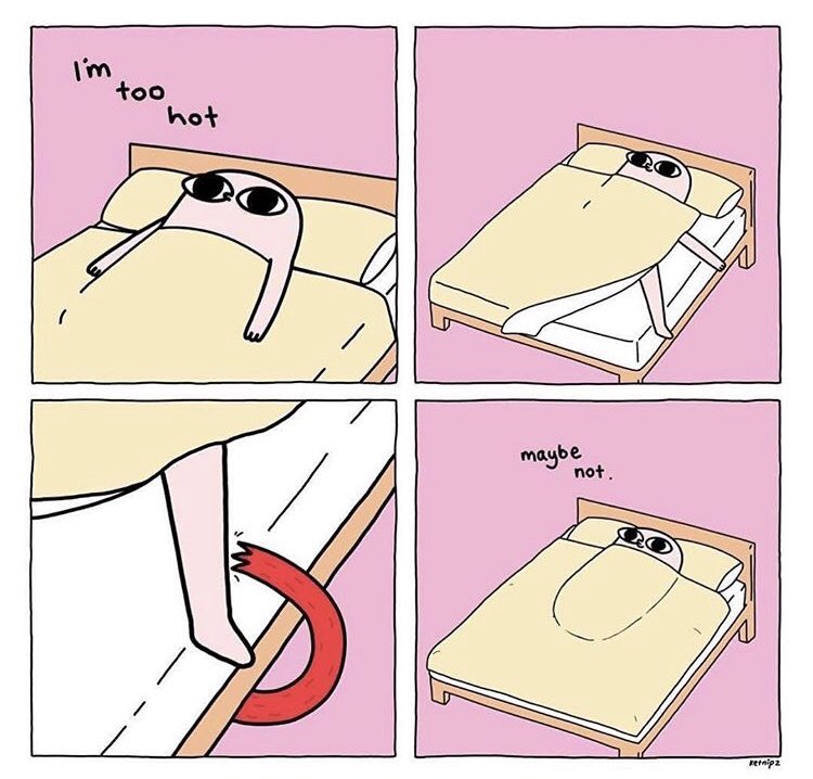 onekatytogo's tweet image. #bedproblems #real