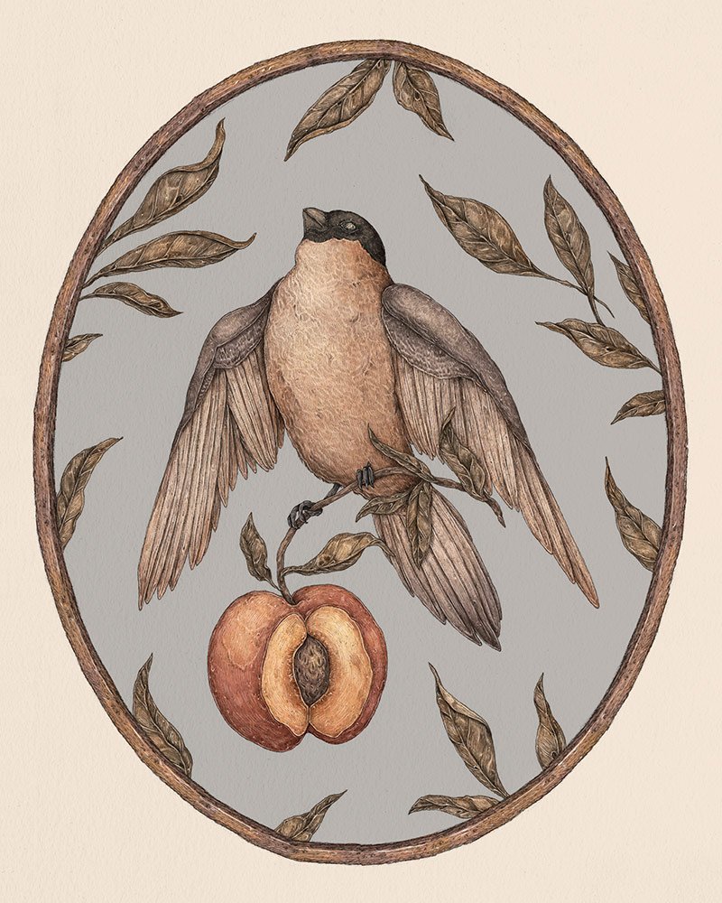 wowbywow's tweet photo. 'Ripened by the Sun' by @jessicasroux. Original and prints available at https://t.co/QE2zygQY73

https://t.co/ZfMdBGP9sG

#jessicaroux #art #draw #drawing #print #artshow #artcollector #microvisions #nature #wildlife #flora #fauna #plants #fruit #bird #details #beauty https://t.co/f1TYePA6bf