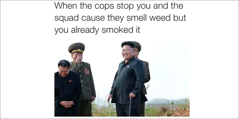 _Truffle_Report's tweet photo. What weed? https://t.co/dHbQWVhj7r