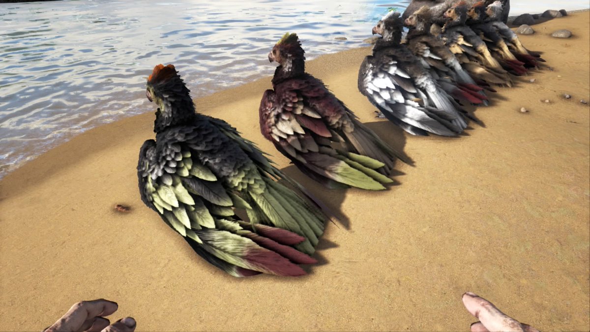 Redfusion88's tweet image. #PS4.ARK. Argentavis très coloré...