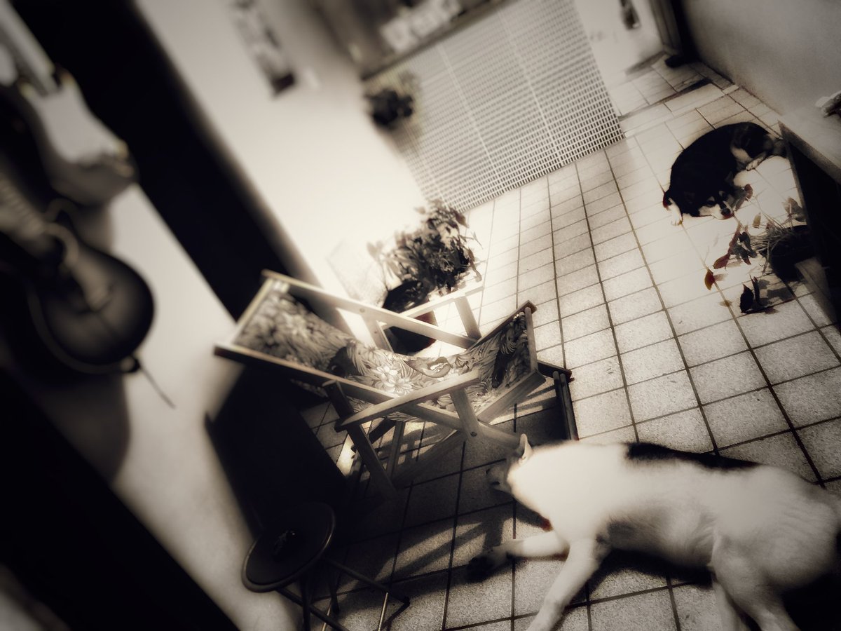 fabiodantes's tweet photo. E antes do começo deixe tudo pra depois
Pois um simples tropeço pode te fazer parar
E todo recomeço tem um preço que eu não posso pagar
Vou voltar pra casa e te pedir pra não colocar tudo a perder https://t.co/2m1lFMsvDS