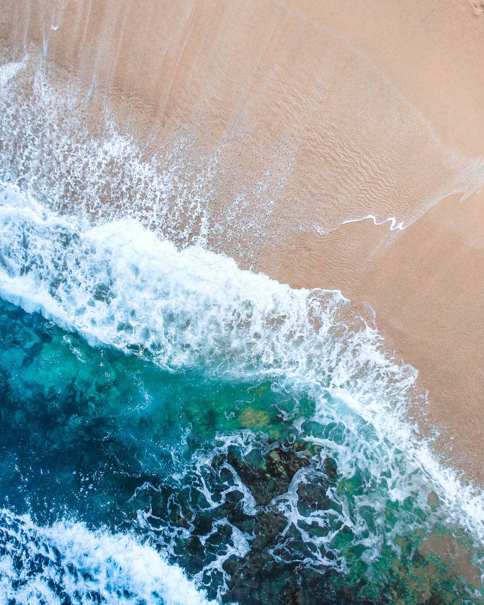 Diana De Lorenzi tweet media