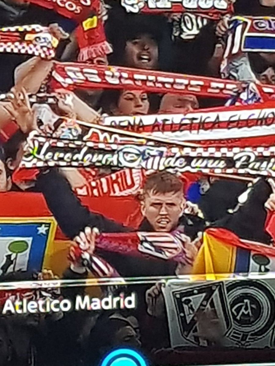 Anyone else spot <a href="/carras16/">Michael Carrick</a> in the audience tonight at the Emirates 🙄