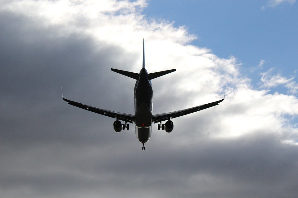 UnTweetCurioso's tweet photo. ¡Quiero volar! https://t.co/8Jjh3FaOSx https://t.co/OrT9Tfzkwc