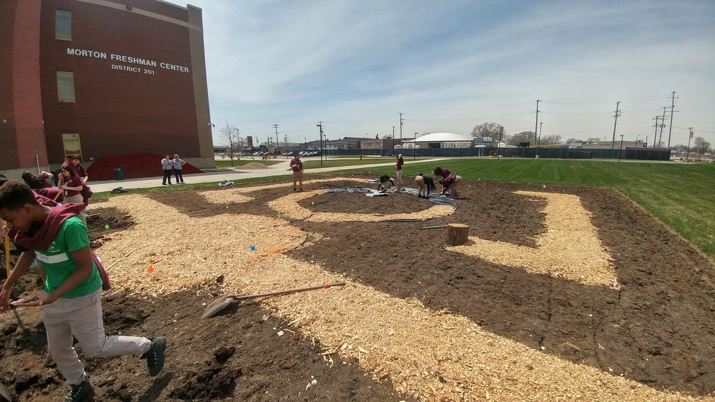 bio_otoole's tweet photo. Another great day building the new student designed 5,000 sq ft Monarch Waystation! Digging a dry creek bed and finishing paths. @monarchwatch #MortonPride https://t.co/yIlayuddZ2