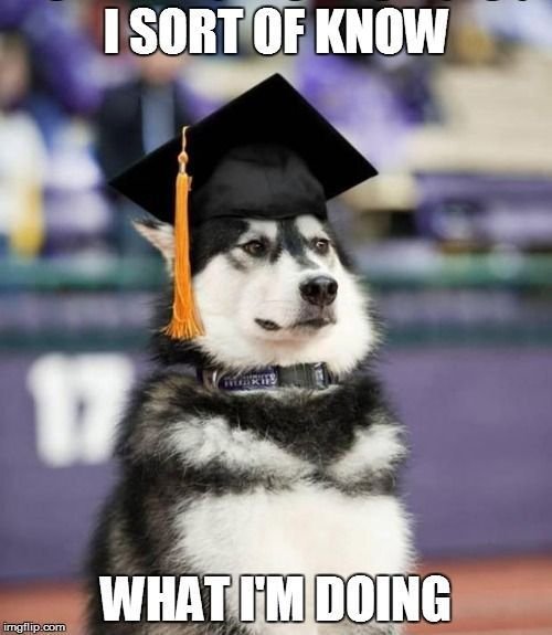 UNTSUREprogram's tweet photo. Hello UNT STudents! If you are a graduating senior Congratulations!! We hope to see you at the UNT Grad Block Party on May 11th! Remember to stay safe and do not forget the SARC office will be open Monday at 8am on May 13th. https://t.co/YpC2NJvQSm