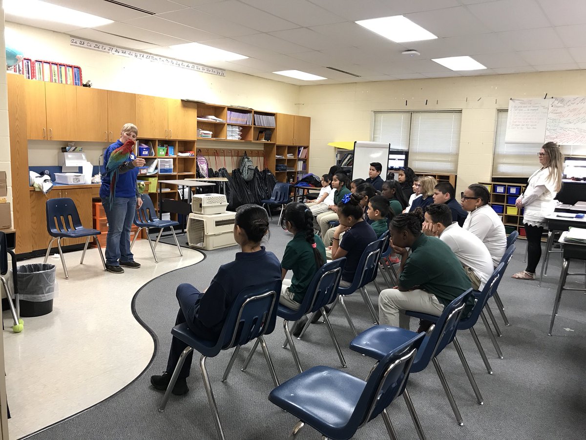 _NGash95_'s tweet photo. After learning about the tropical rainforest, I had my old boss at @birdsofparadiseks come and share with my class about these amazing animals. #edshocks #studentteaching #tropicalrainforest https://t.co/bDidvuKQFg