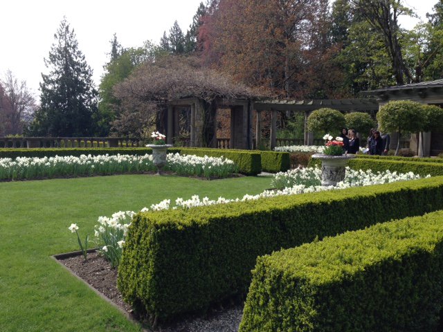 Destination Greater Victoria Membership tweet media