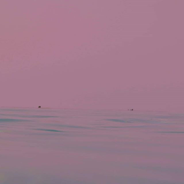 sianablemusic's tweet photo. Embracing l #backtoinstagram #sea #ocean #merrouge #redsea #videoclip #free #pure #nature #breathe #disconnected #danstaface #algorithmeaquatique #rose #egypte #travel #instatravel https://t.co/ZqcADiBt4a https://t.co/3bl8XhuWTQ