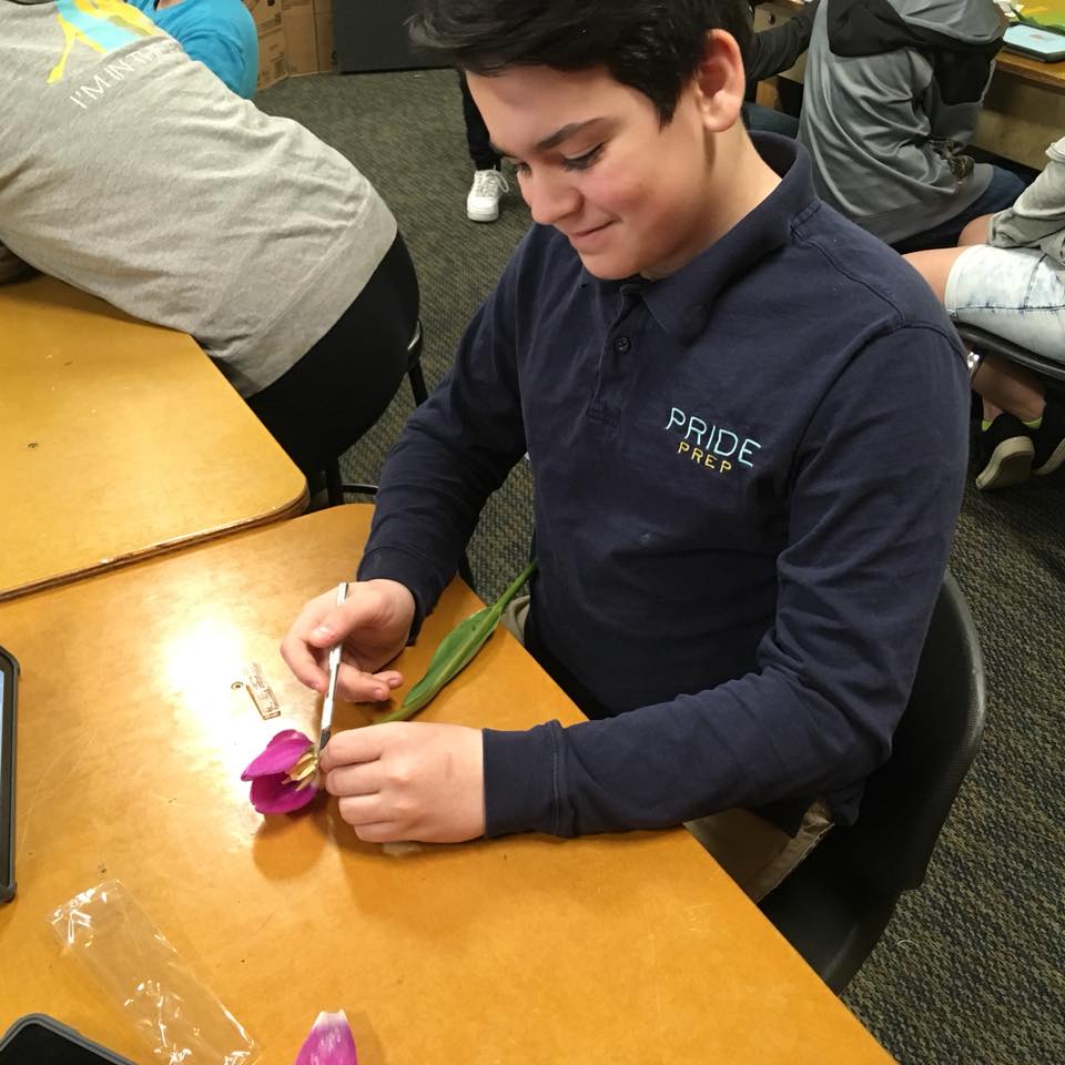 PridePrep's tweet photo. Our 6th graders enjoyed getting to dissect flowers to better understand what pollinators pollinate! #prideschools #schoollife #smellsbetterthandissectingfish https://t.co/NpA0Tm578Z