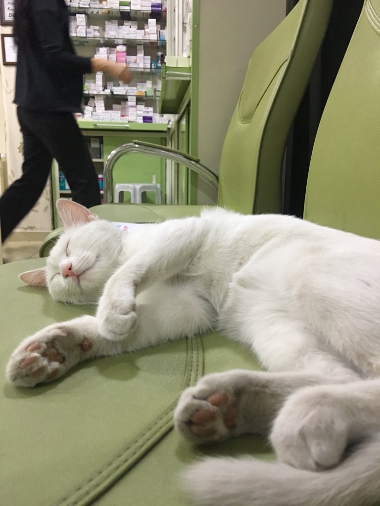 Çok sıkıldım akşam takılalım mı dedikten hemen sonra...