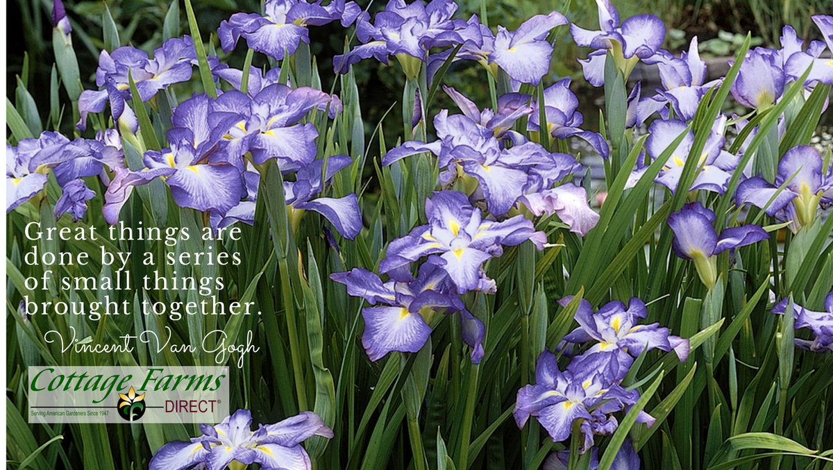 Cottage Farms Direct On Twitter Last Chance In April To Catch