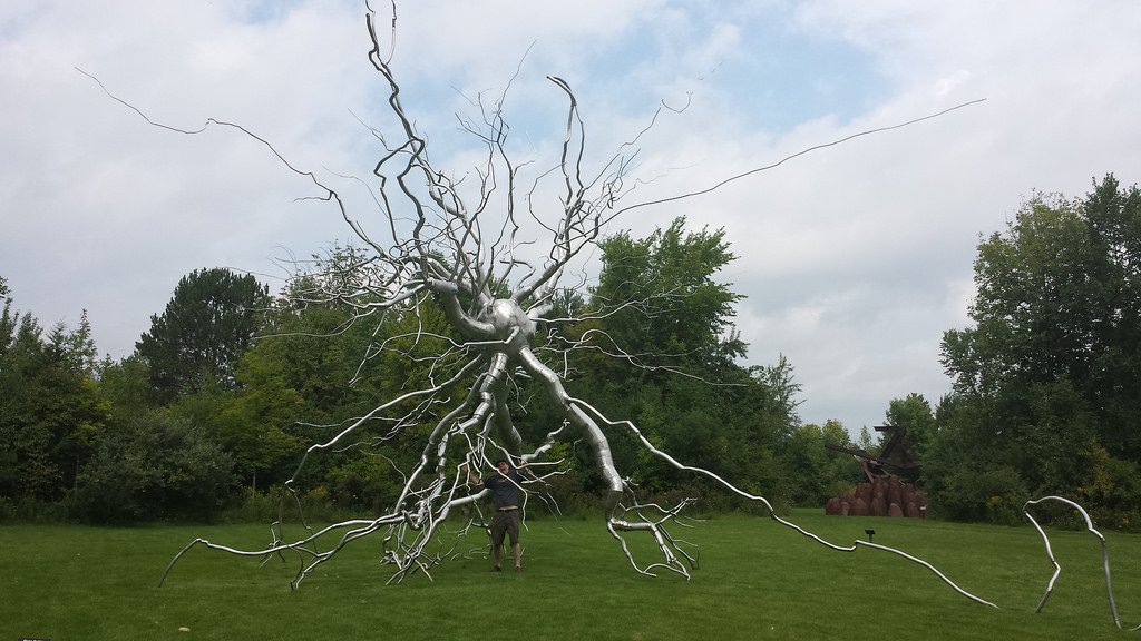 Oooff check out Roxy Paine's neuron sculpture